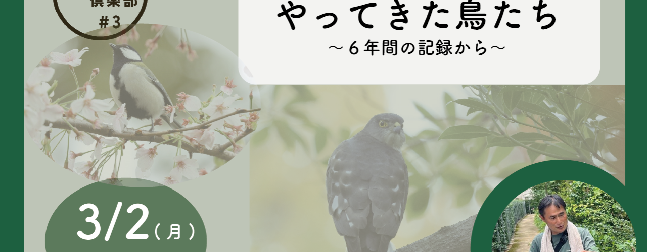 ののあおやま　いきもの倶楽部　～ののあおやまにやってきた鳥たち～
