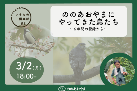 ののあおやま　いきもの倶楽部　～ののあおやまにやってきた鳥たち～