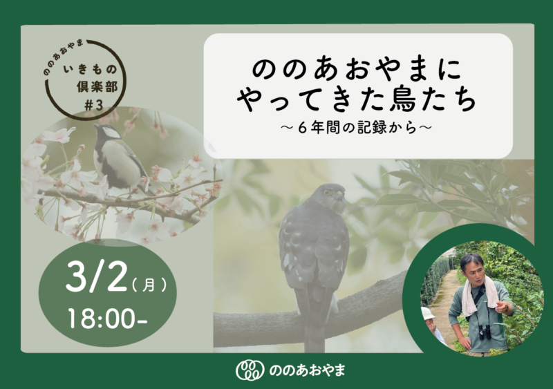 ののあおやま　いきもの倶楽部　～ののあおやまにやってきた鳥たち～